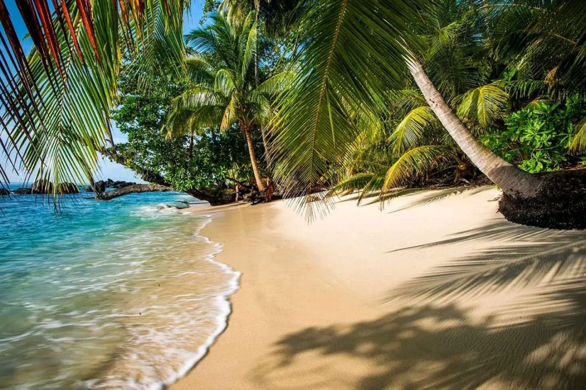 Praveen Cabs Marari Beach Package